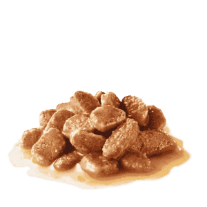 Royal Canin – Urinary Care in Gravy 85g