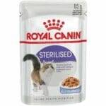 Royal Canin Wet Food For Cats Spayed With Jelly 85 Grams