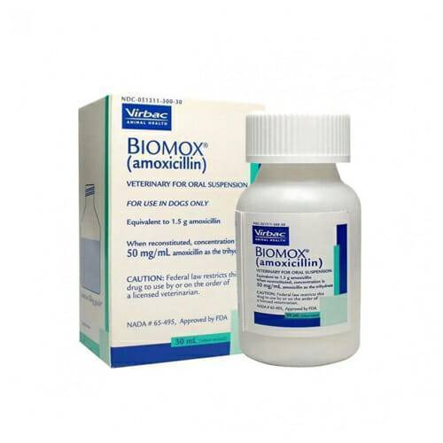 Biomox antibiotic for cats and dogs 15 ml