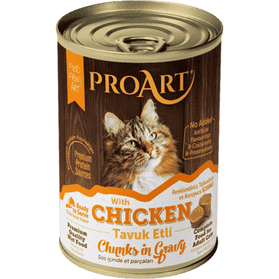 Wet food for adult cats