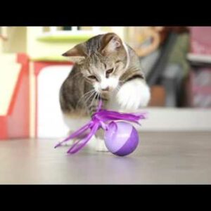 SmartyKat Twirly Top Electronic Motion Cat Toy, Battery Powered