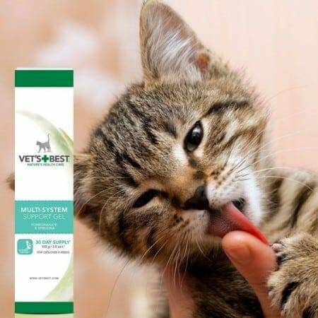 vets best multi system cat supplement gel 4 600x600 1