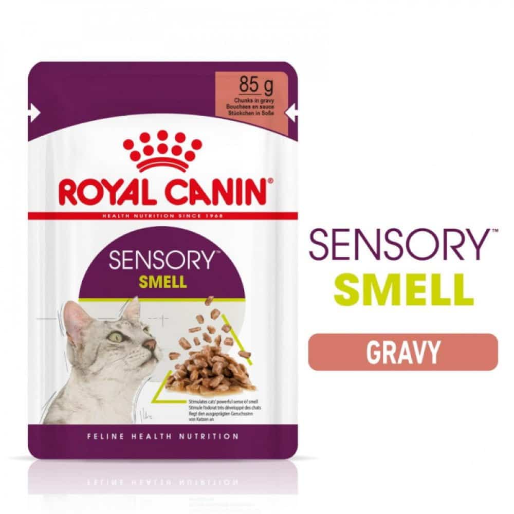 Royal Canin sensory smile gravy wet food for cats 85g